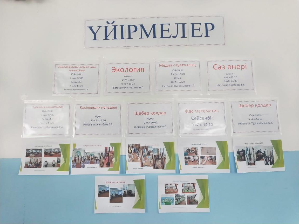 Ақылы үйірме жұмыстарының жүргізілуі  туралы